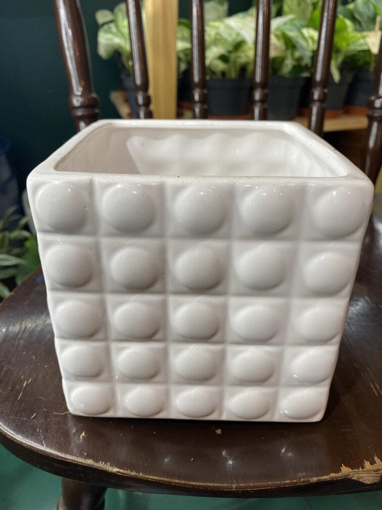 Zdjęcie doniczki Osłonka Równik 12x12 cm ujęcie 2