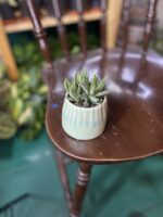 Zdjęcie doniczki Osłonka Wiatr 6x7 cm ujęcie 1
