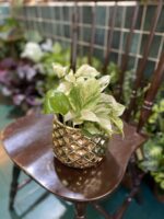 Zdjęcie doniczki Osłonka Ananas 12x12 cm ujęcie 2