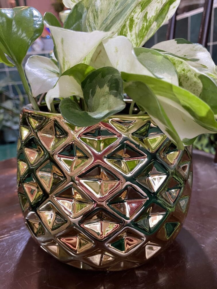 Zdjęcie doniczki Osłonka Ananas 12x12 cm ujęcie 3