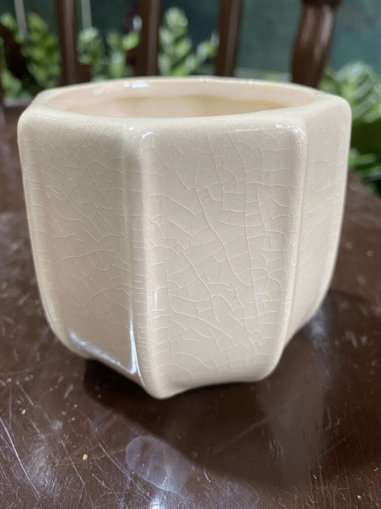 Zdjęcie doniczki Osłonka Palma 6x7 cm ujęcie 3