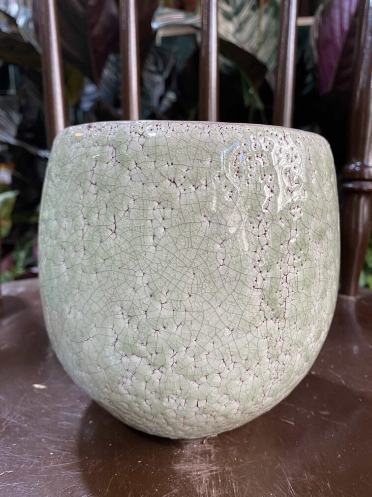 Zdjęcie doniczki Osłonka Aligator 11x13 cm ujęcie 2