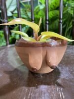 Zdjęcie Osłonka Boginki I 8x5 cm w kategorii doniczki, ujęcie 1