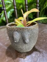 Zdjęcie Osłonka Boginki IV 7x7 cm w kategorii doniczki, ujęcie 1