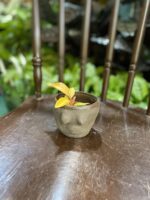 Zdjęcie Osłonka Boginki V 8x7 cm w kategorii doniczki, ujęcie 3