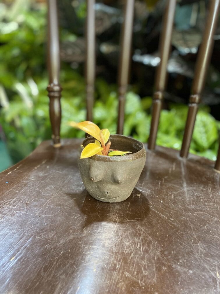 Zdjęcie Osłonka Boginki V 8x7 cm w kategorii doniczki, ujęcie 3