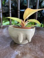 Zdjęcie Osłonka Boginki VII 7x5 cm w kategorii doniczki, ujęcie 1