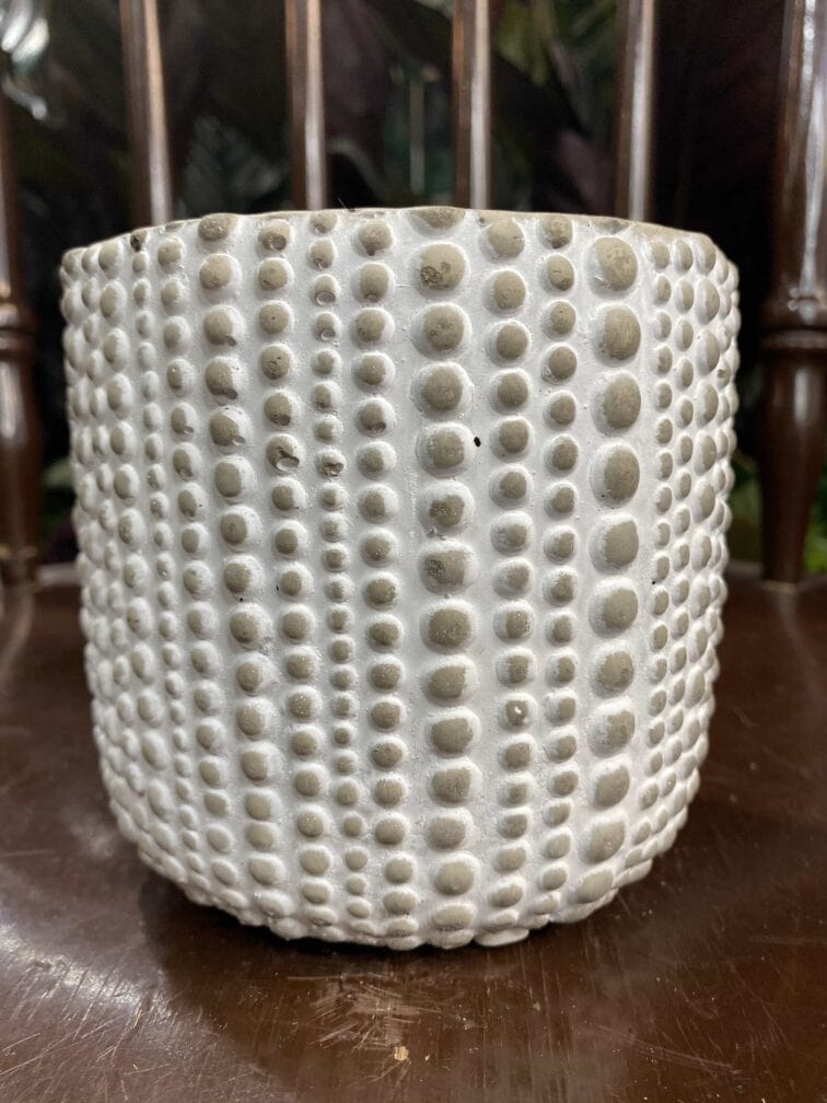 Zdjęcie Osłonka Gepard 10x10 cm w kategorii doniczki, ujęcie 3