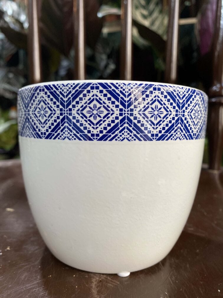 Zdjęcie doniczki Osłonka Komancz 10x10 cm ujęcie 2