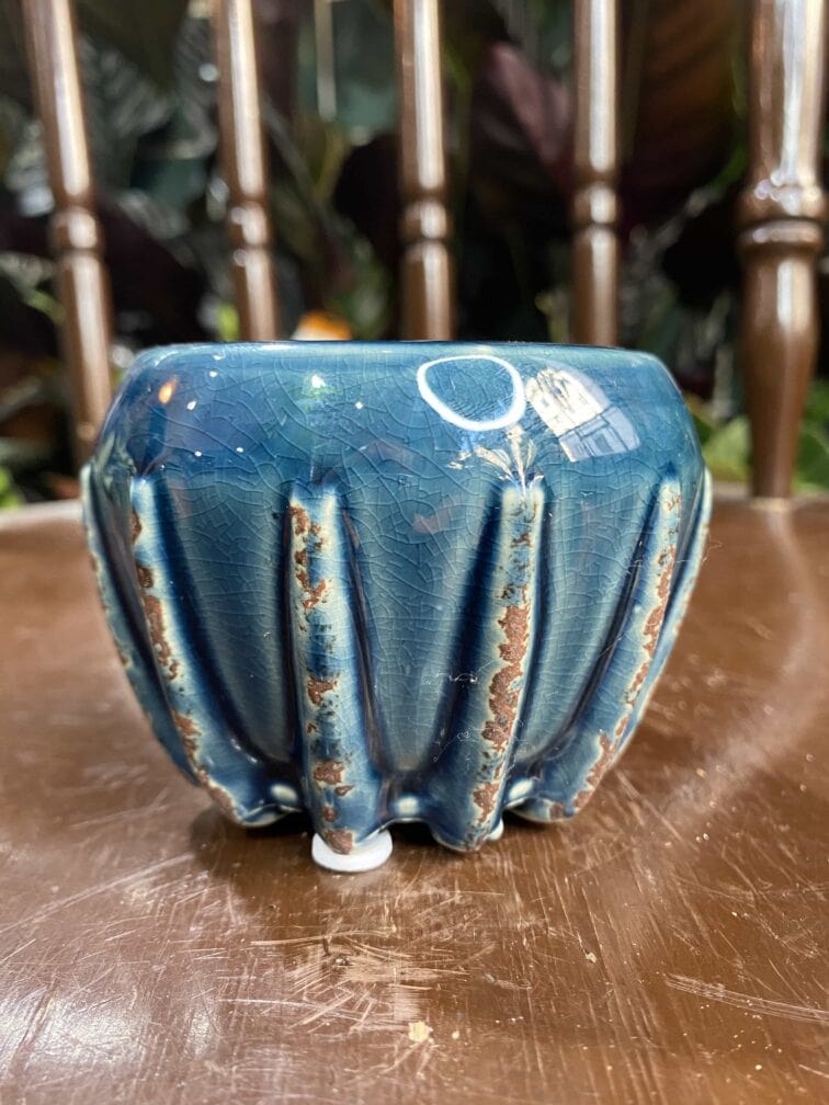 Zdjęcie Osłonka Krab Blue 6x6 cm w kategorii doniczki, ujęcie 2