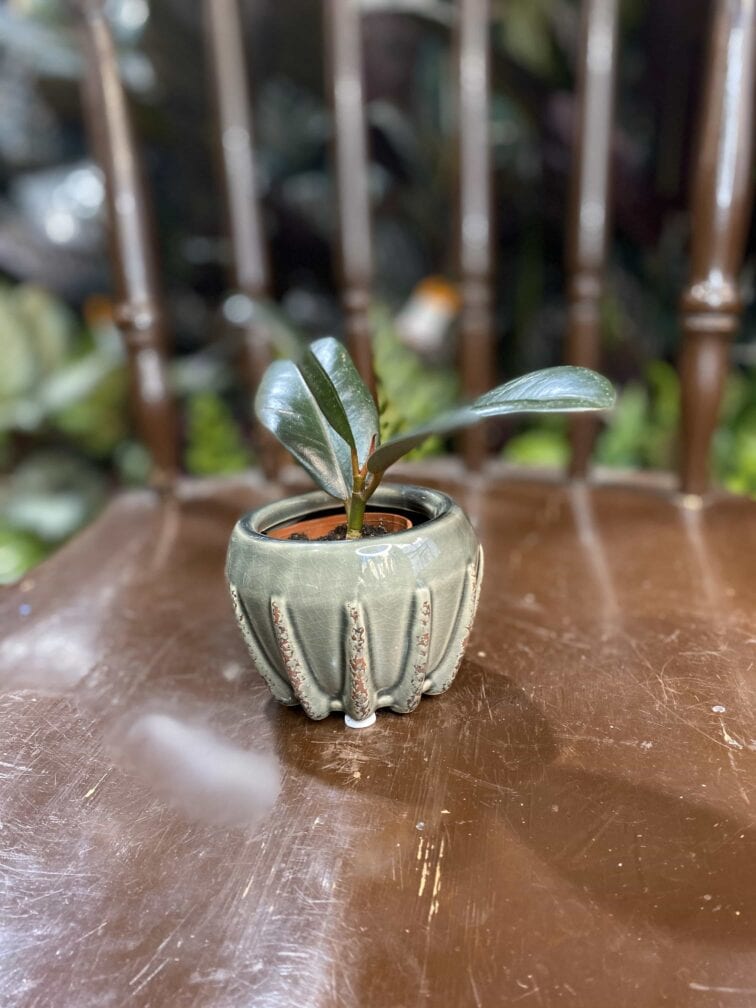 Zdjęcie Osłonka Krab Grey 6x6 cm w kategorii doniczki, ujęcie 1