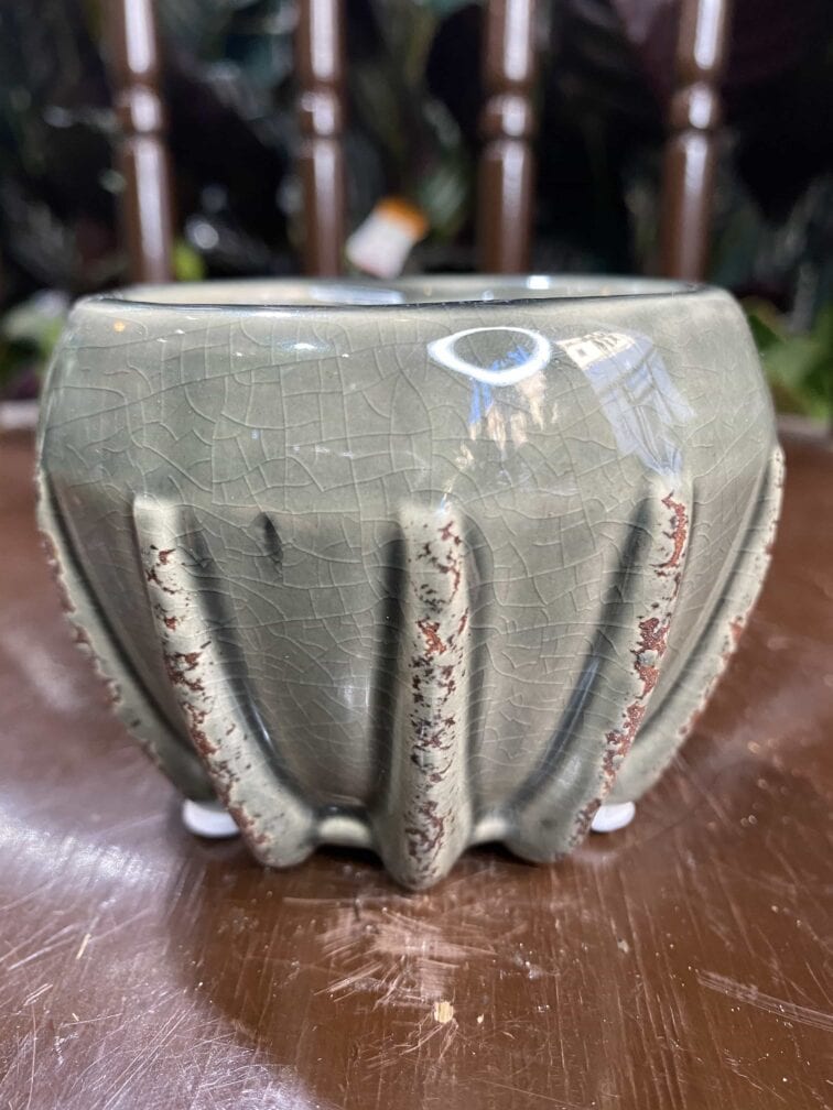 Zdjęcie Osłonka Krab Grey 6x6 cm w kategorii doniczki, ujęcie 2