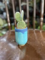 Zdjęcie Osłonka Morze 6x10 cm w kategorii doniczki, ujęcie 1