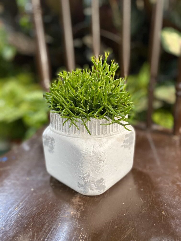 Zdjęcie Osłonka Wapień 10x9 cm w kategorii doniczki, ujęcie 1