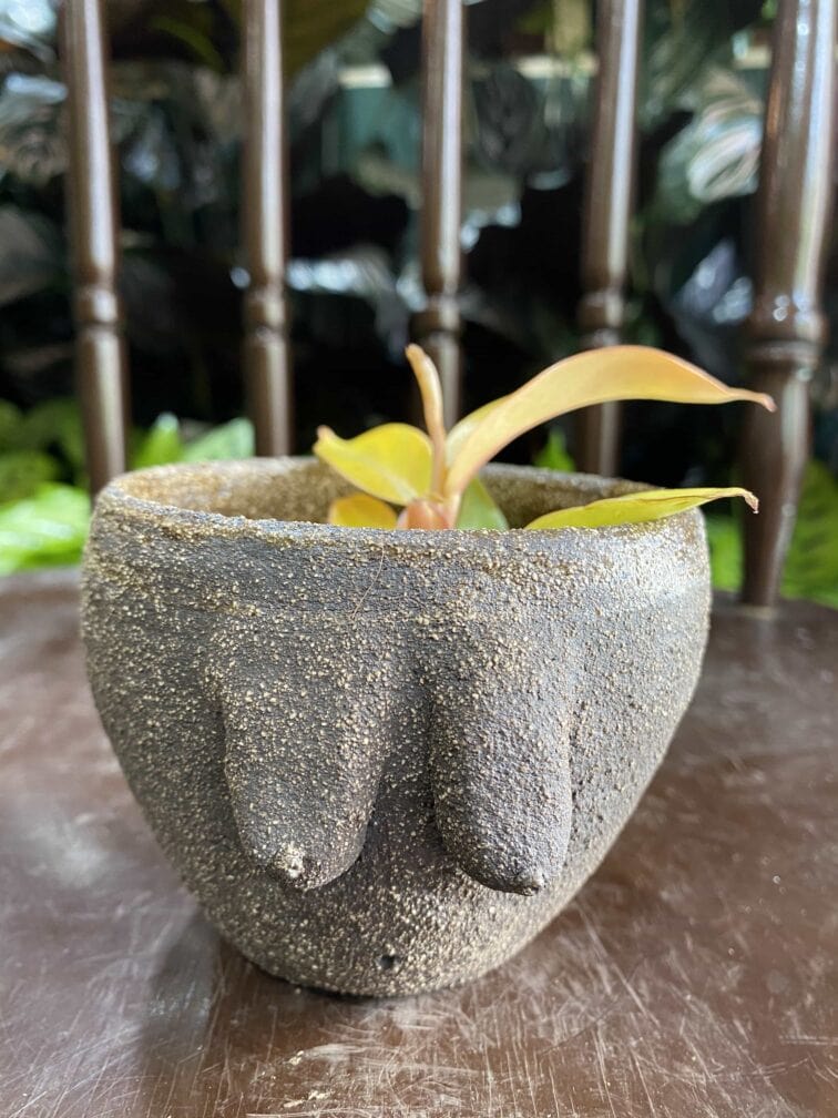 Zdjęcie Oslonka Boginki VI 8x7 cm w kategorii doniczki, ujęcie 1