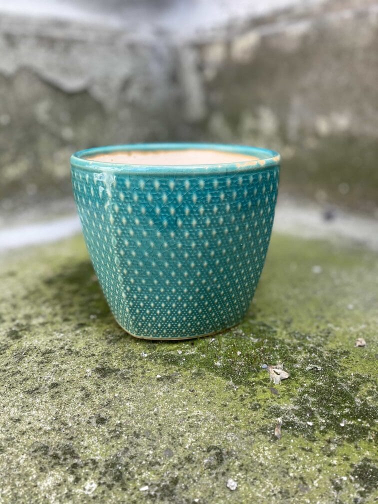 Zdjęcie Osłonka Barracuda Green 12x11 cm w kategorii doniczki, ujęcie 1