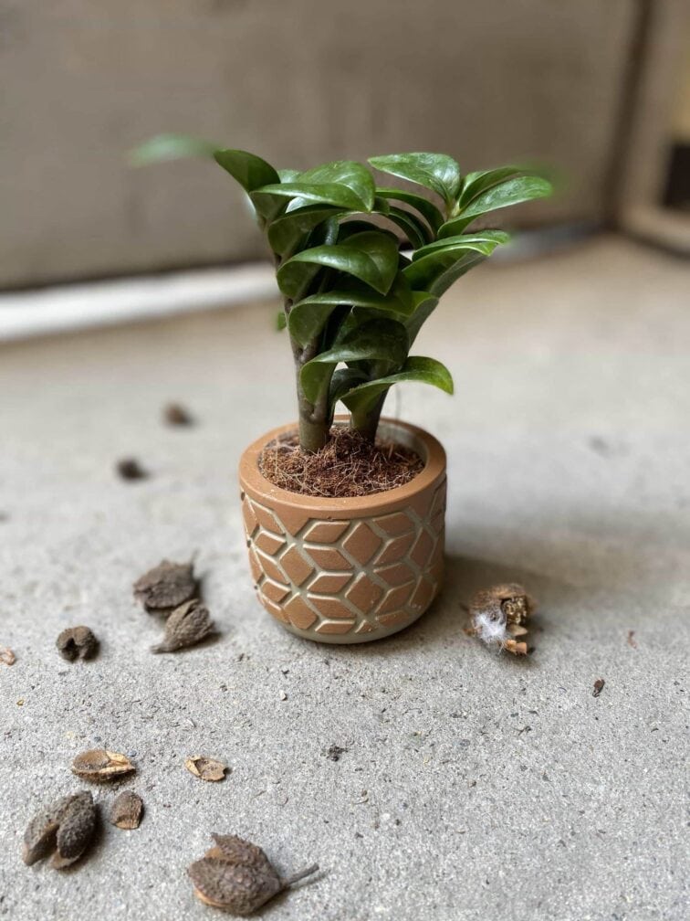 Zdjęcie Osłonka Cegła 6x6 cm w kategorii doniczki, ujęcie 2