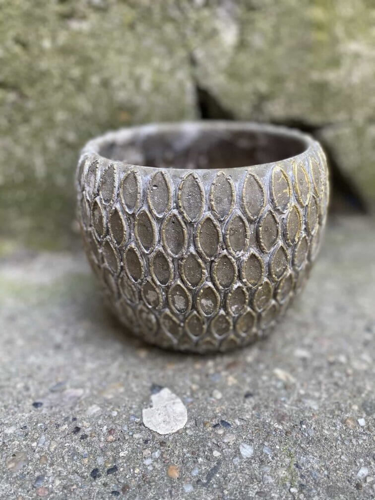 Zdjęcie Osłonka Grzechotnik 12x12 cm w kategorii doniczki, ujęcie 1