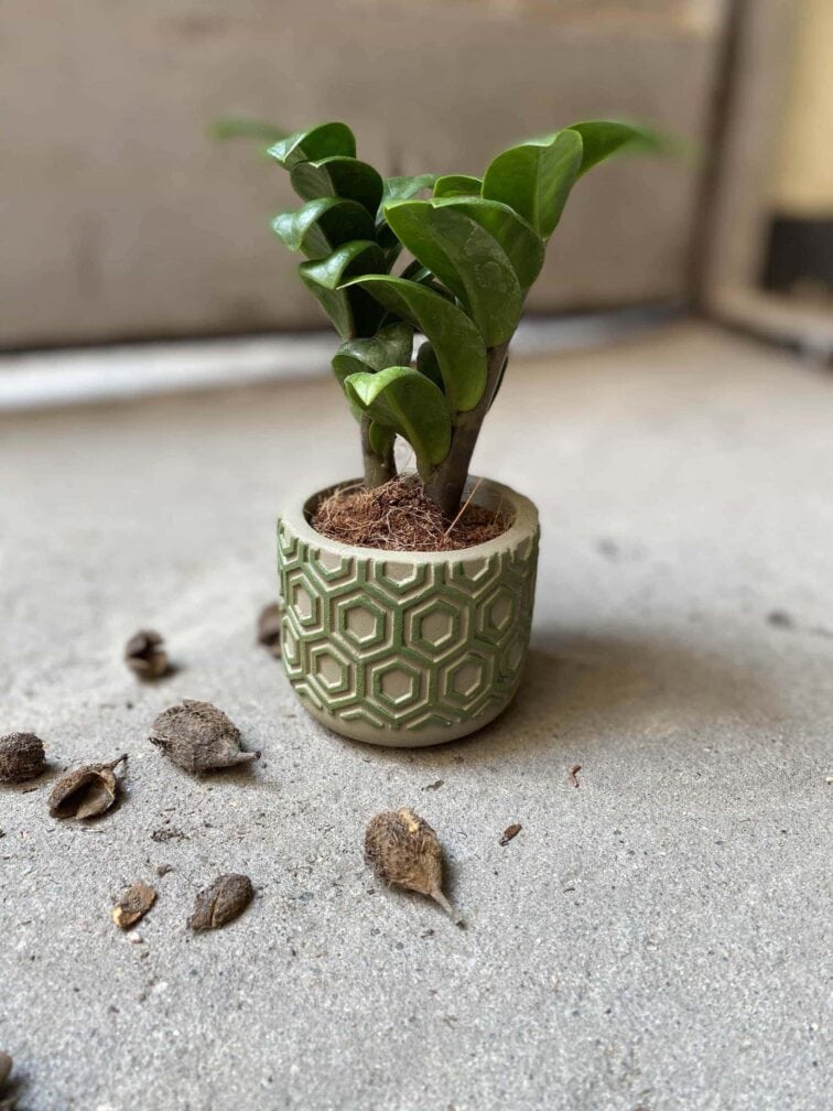 Zdjęcie Osłonka Heksagon 6x6 cm w kategorii doniczki, ujęcie 1