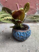 Zdjęcie Osłonka Lapis-Lazuli 12x12 cm w kategorii doniczki, ujęcie 2