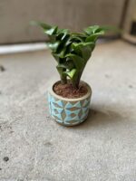 Zdjęcie Osłonka Maska 6x6 cm w kategorii doniczki, ujęcie 3
