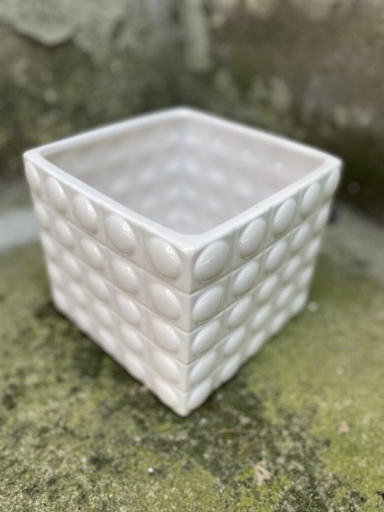 Zdjęcie Oslonka Śnieżna Pantera 15x15 cm w kategorii doniczki, ujęcie 2