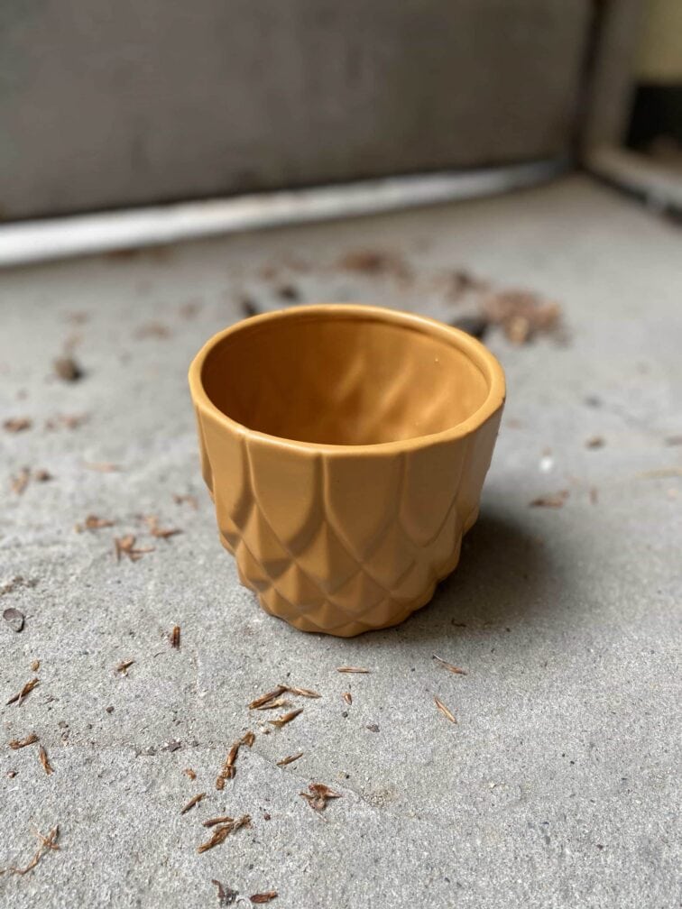 Zdjęcie Pomarańczowa Sowa 10x10 cm w kategorii doniczki, ujęcie 3