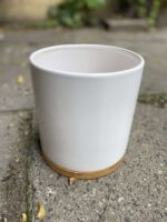 Zdjęcie Osłonka Bamboo 15x17 cm w kategorii doniczki, ujęcie 2