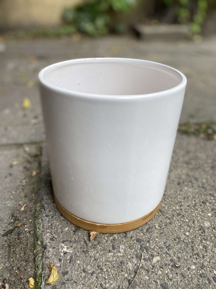 Zdjęcie Osłonka Bamboo 15x17 cm w kategorii doniczki, ujęcie 2