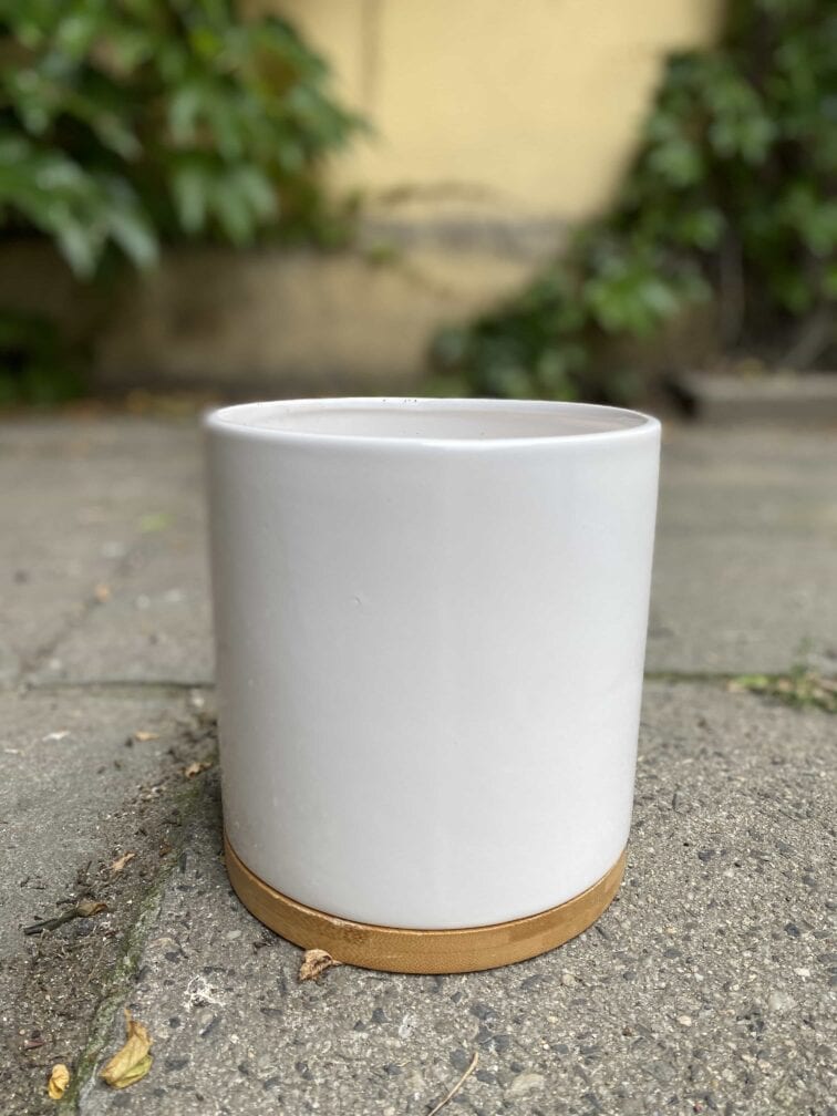 Zdjęcie Osłonka Bamboo 15x17 cm w kategorii doniczki, ujęcie 3