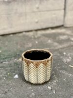 Zdjęcie Osłonka Cedr 10x11 cm w kategorii doniczki, ujęcie 1