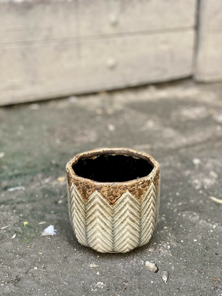 Zdjęcie Osłonka Cedr 10x11 cm w kategorii doniczki, ujęcie 1