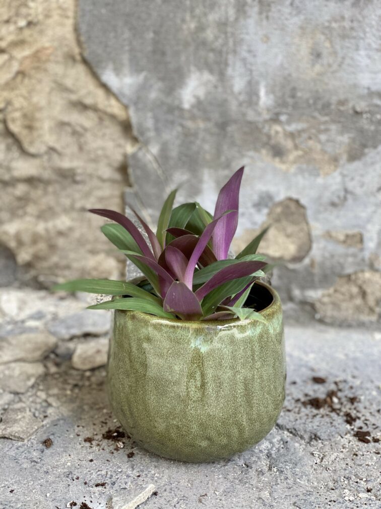 Zdjęcie Osłonka Samum 12x13 cm w kategorii doniczki, ujęcie 2