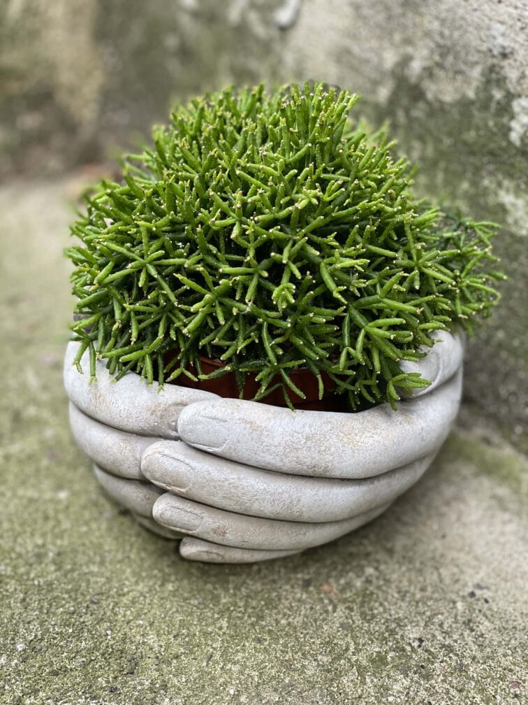 Zdjęcie doniczki lub oslonki: Osłonka Dłonie 12x7 cm, ujęcie 2