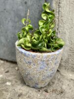 Zdjęcie doniczki lub oslonki: Osłonka Stone Age 12x15 cm, ujęcie 2