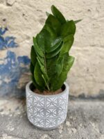 Zdjęcie doniczki lub oslonki: Osłonka Hermiona 12x12 cm, ujęcie 2