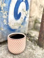 Zdjęcie doniczki lub oslonki: Osłonka Epifauna Pink 12x13 cm, ujęcie 3