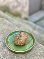 Zdjęcie rośliny Stephania erecta, ujęcie 2