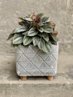 Zdjęcie doniczki lub oslonki: Osłonka Geometric 11x10 cm, ujęcie 2