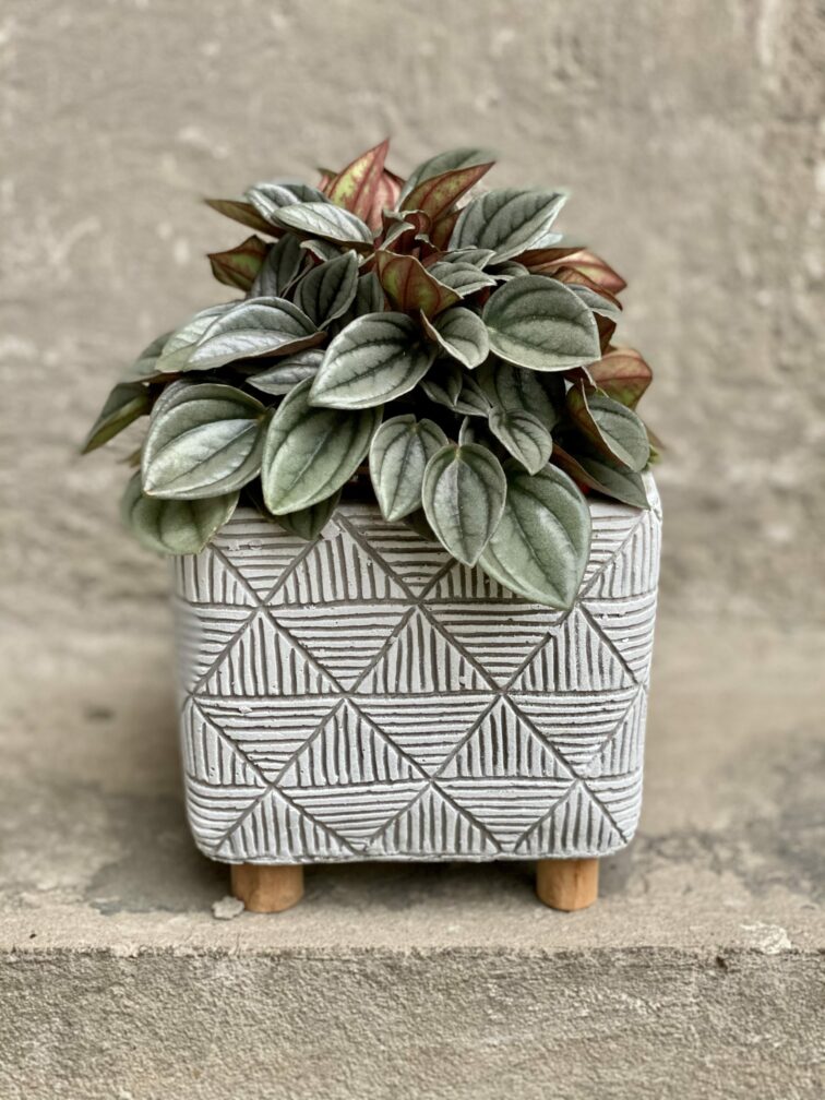 Zdjęcie doniczki lub oslonki: Osłonka Geometric 11x10 cm, ujęcie 2