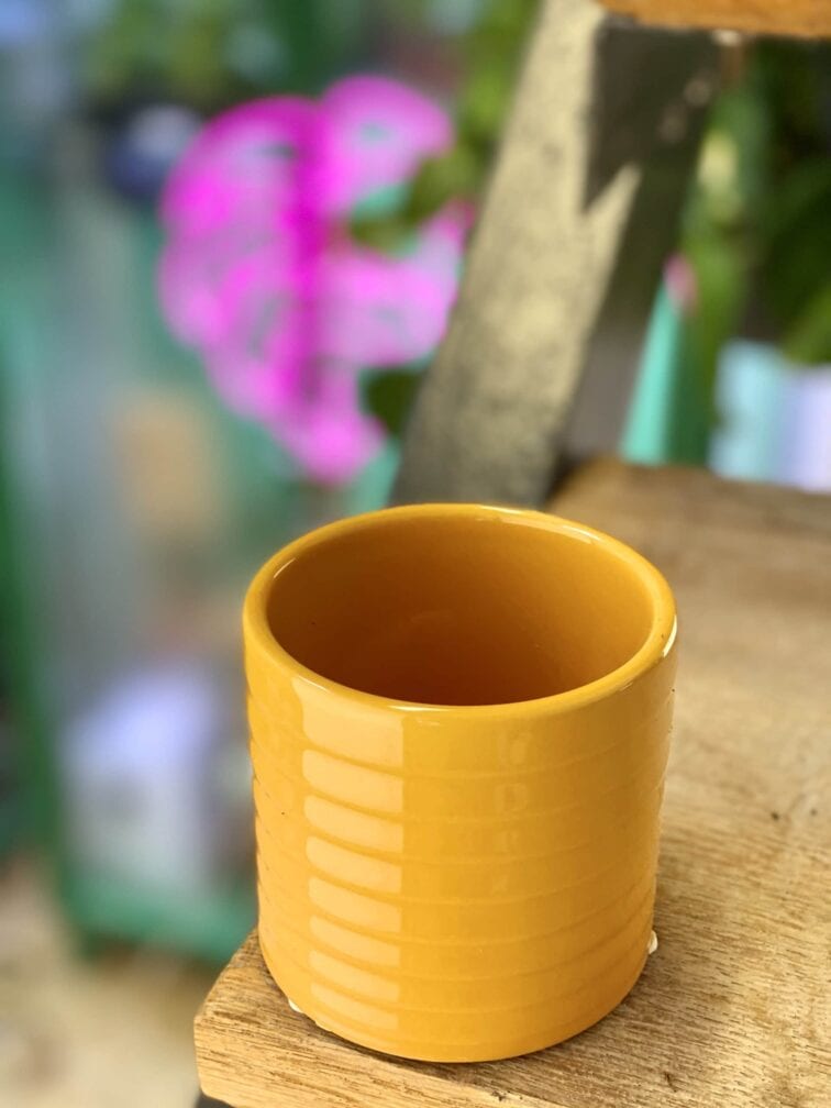 Zdjęcie doniczki lub oslonki: Osłonka Wax 7x8 cm, ujęcie 1