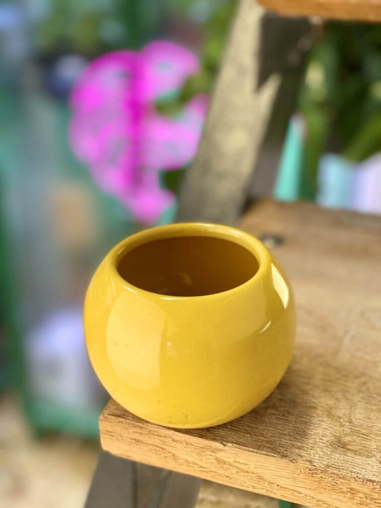 Zdjęcie doniczki lub oslonki: Osłonka Bila 6x7 cm, ujęcie 1