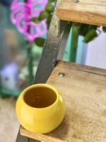Zdjęcie doniczki lub oslonki: Osłonka Bila 6x7 cm, ujęcie 3