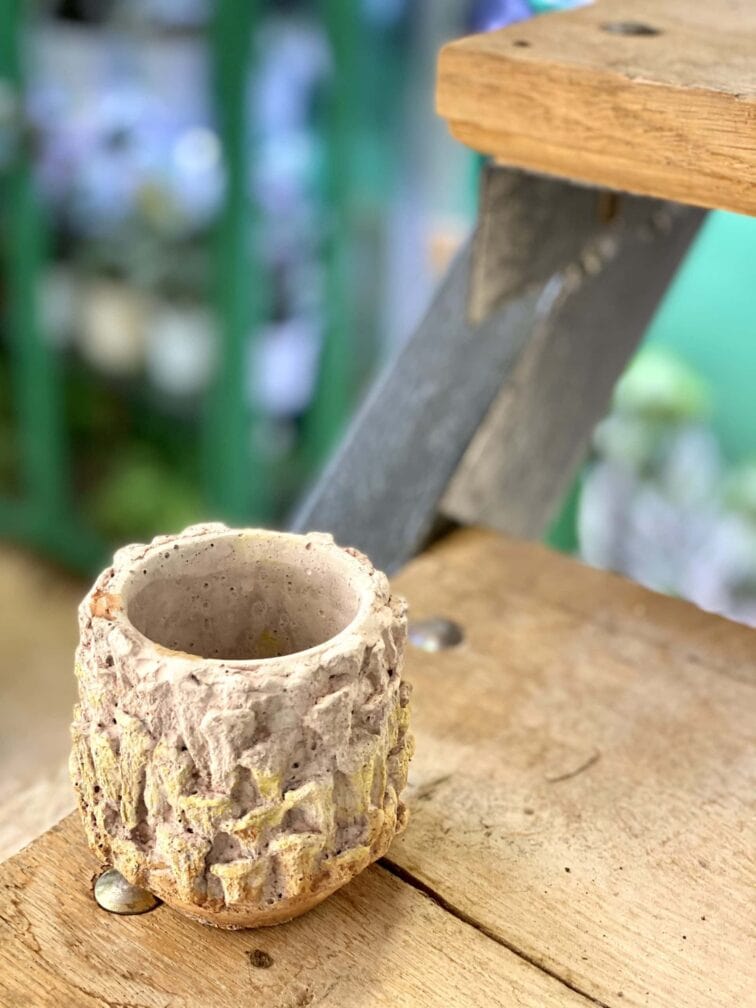 Zdjęcie doniczki lub oslonki: Osłonka Mushroom Cloud 5x8 cm, ujęcie 2