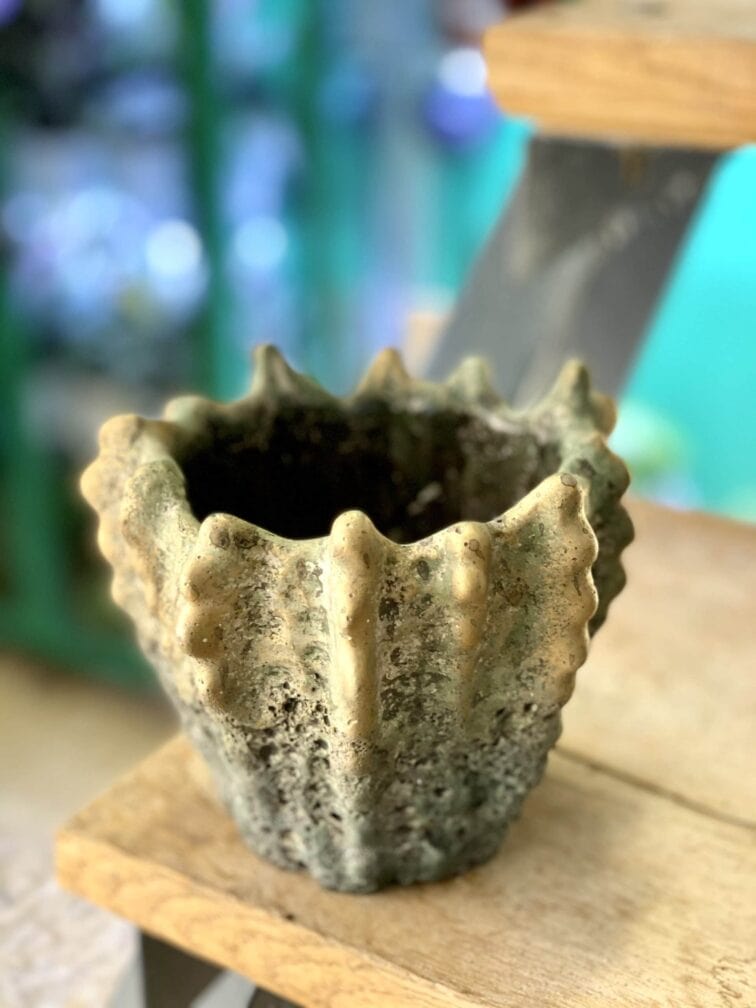 Zdjęcie doniczki lub oslonki: Osłonka Lordran 9x11 cm, ujęcie 1