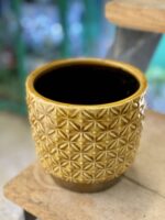 Zdjęcie doniczki lub oslonki: Osłonka Flan 12x12 cm, ujęcie 1