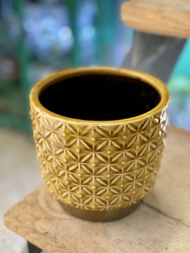 Zdjęcie doniczki lub oslonki: Osłonka Flan 12x12 cm, ujęcie 1