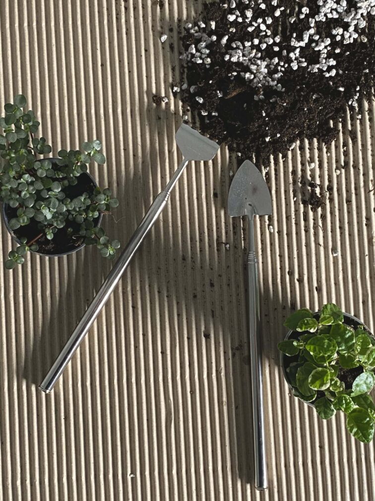 Zdjęcie akcesoria Grabki i łopatka do terrarium 21cm, ujęcie 3