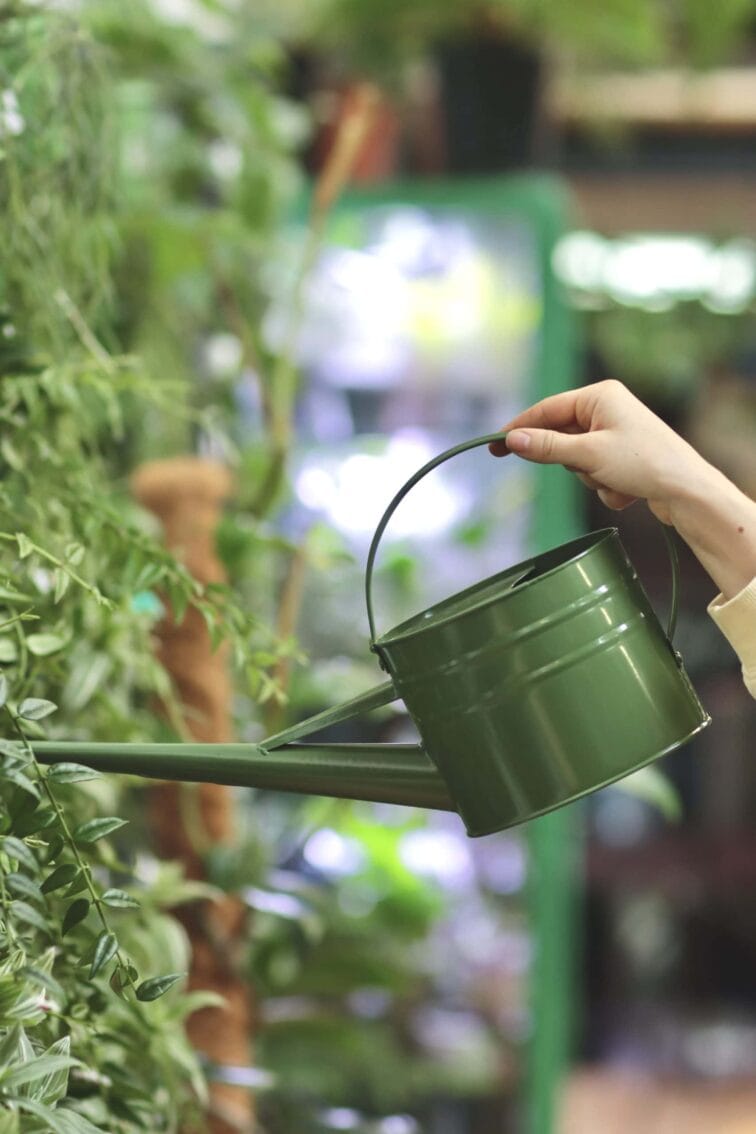 Zdjęcie akcesoria Konewka Bullerbyn Zielona 1,4l, ujęcie 2
