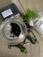 Zdjęcie akcesoria Nożyczki do terrarium 25cm, ujęcie 2